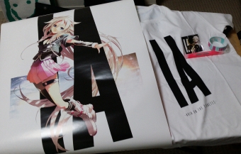 Stuff I bought. Two-sided poster, T-Shirt, Bracelet, Keychain & Glowstick. Shirt is surprisingly comfy.